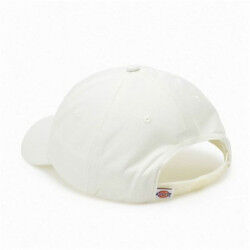 Sportcap Dickies Hardwick Cloud (Één maat)