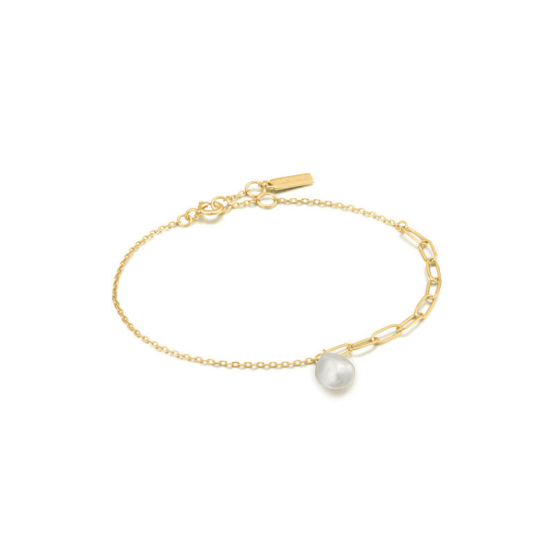 Ladies' Bracelet Ania Haie B019-02G 19 cm