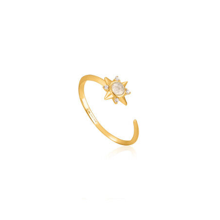 Anello Donna Ania Haie R026-03G (13)