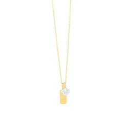 Collier Femme Secrecy P7213CDAWWC93 42 cm