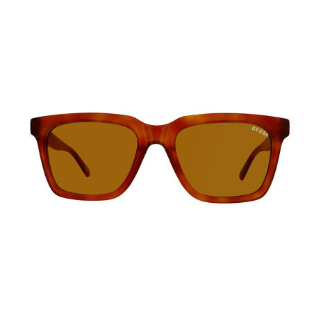 Ladies' Sunglasses Furla Ø 53 mm