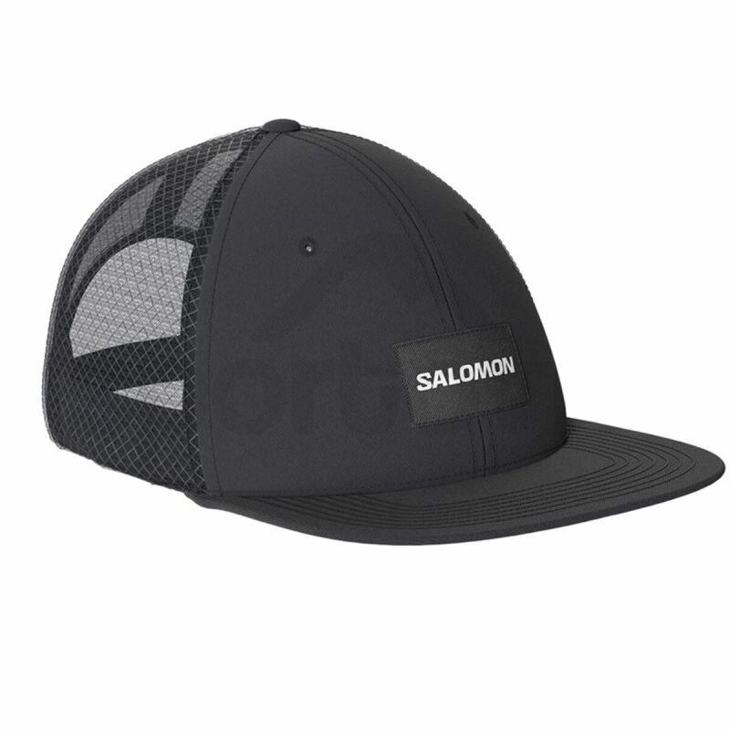 Gorra Salomon Flat Cap Deep Negro