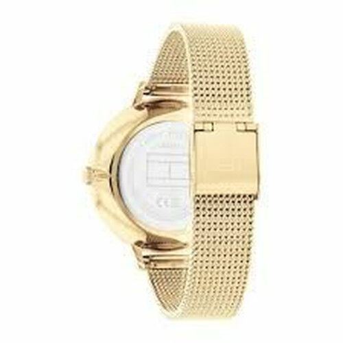 Ladies' Watch Daisy Dixon DD055SRGM (Ø 38 mm)