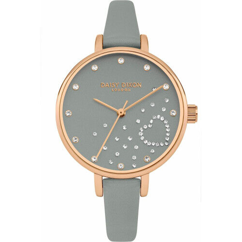 Horloge Dames Daisy Dixon DD083ERG (Ø 36 mm)