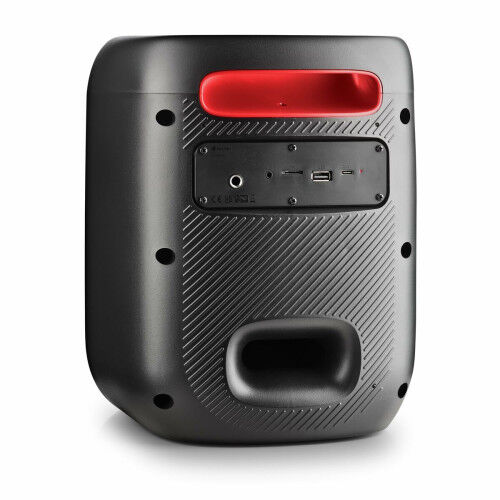 Altavoz Bluetooth Portátil NGS WILDSWAGGO